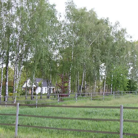 Het Mooie Uitzicht Reuver