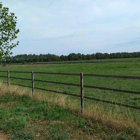 Het Mooie Uitzicht Reuver