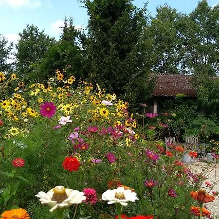 Bed & Breakfast Het Mooie Uitzicht Reuver