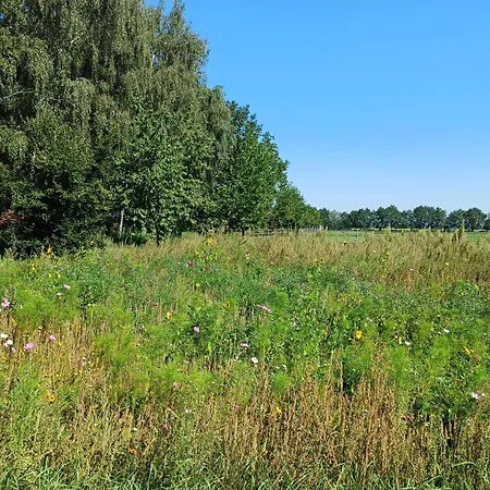 Het Mooie Uitzicht 3* Reuver