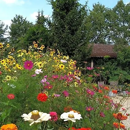 Bed & Breakfast Het Mooie Uitzicht Reuver