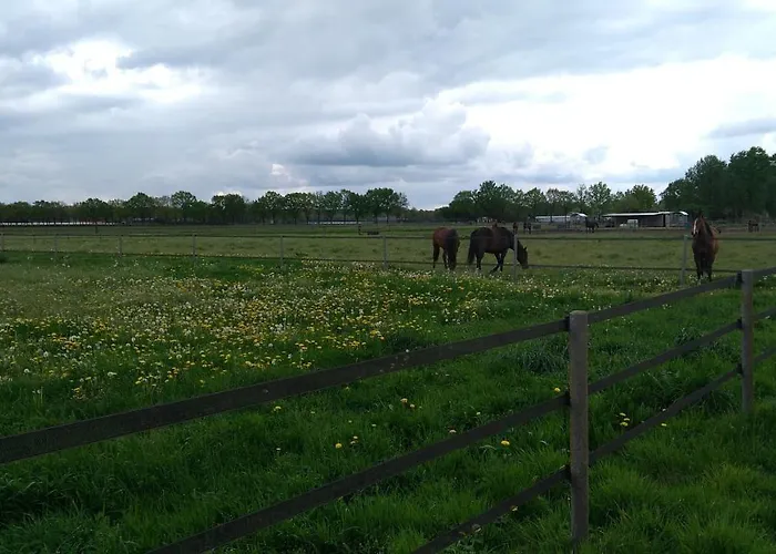 Panzió Het Mooie Uitzicht