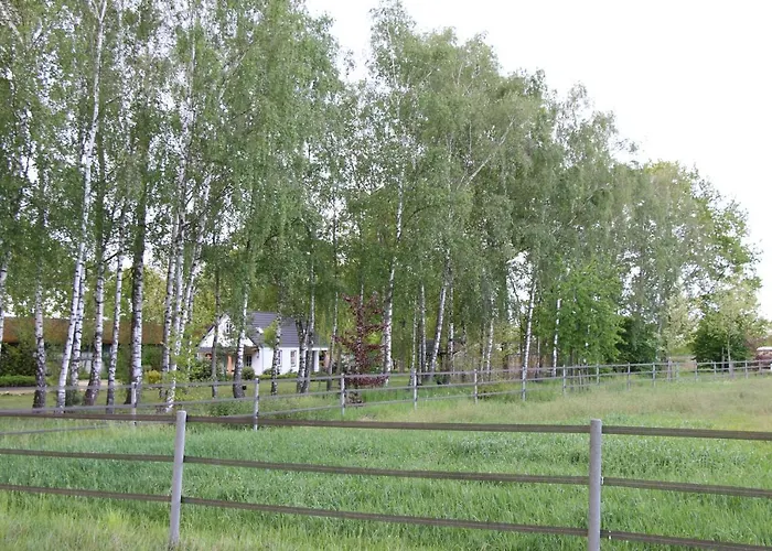 Het Mooie Uitzicht Reuver