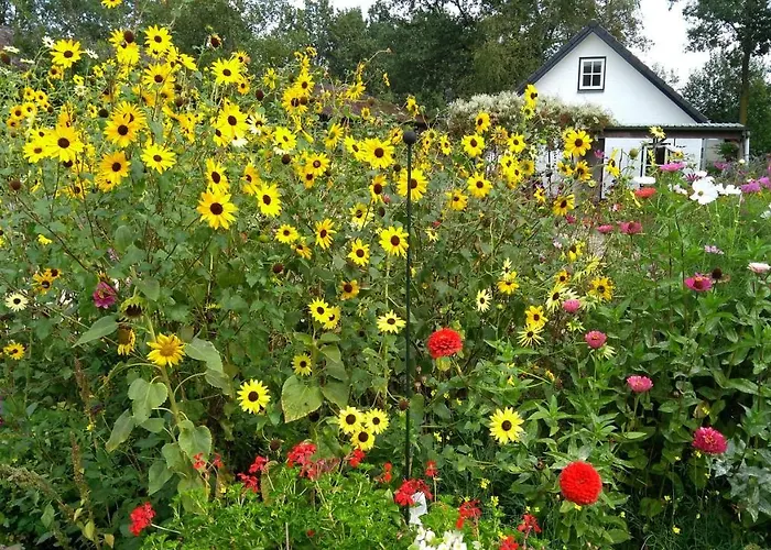 Bed & Breakfast Het Mooie Uitzicht 3*