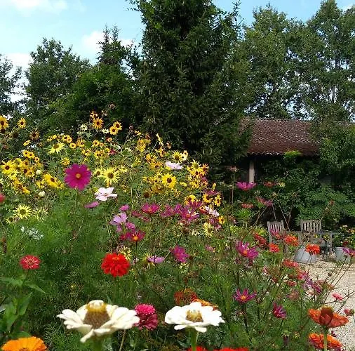 Bed & Breakfast Het Mooie Uitzicht Reuver