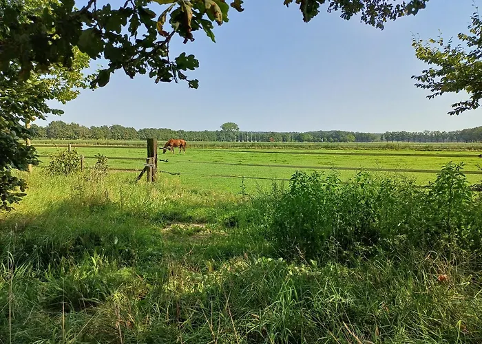 Bed & Breakfast Het Mooie Uitzicht