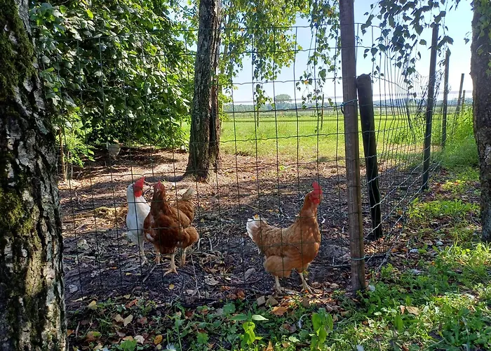 Het Mooie Uitzicht 3*