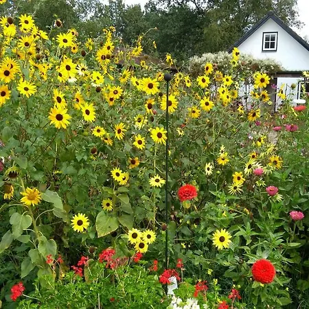 Bed & Breakfast Het Mooie Uitzicht 3*