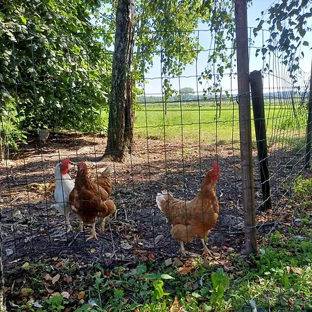 Het Mooie Uitzicht 3*