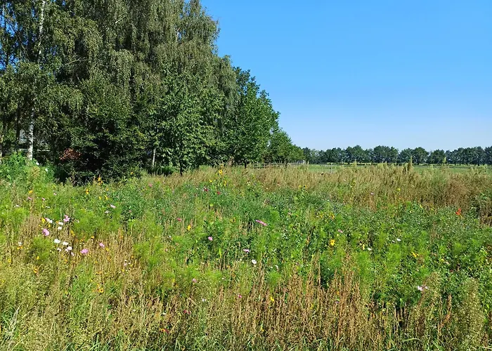 Het Mooie Uitzicht 3* Reuver